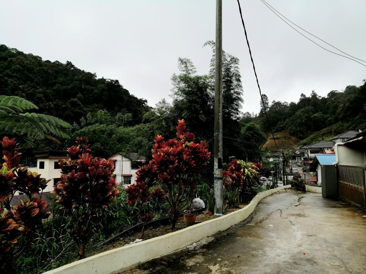 Sakura Guest House Cameron Highlands Exterior photo